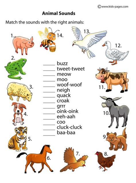 Animal Sounds worksheet