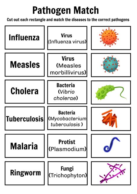 Pathogen - what is it? Viral pathogens, bacterial pathogens and ...