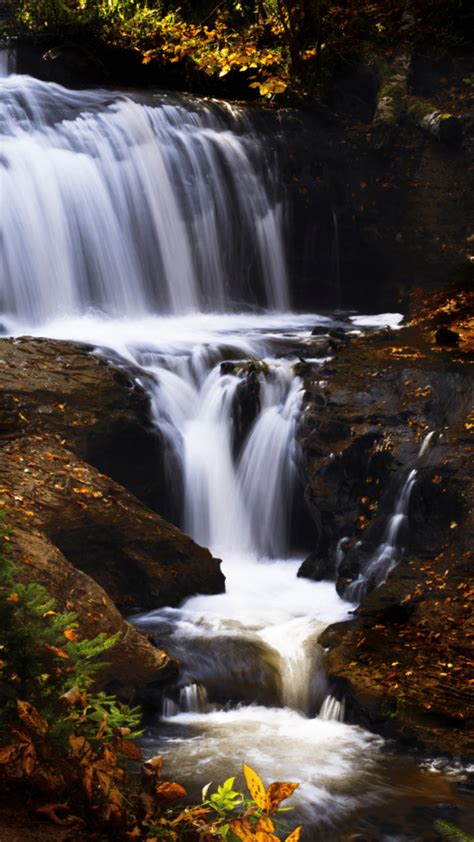 The Best Time to See Fall Colors in Upper Michigan | North of Bleu