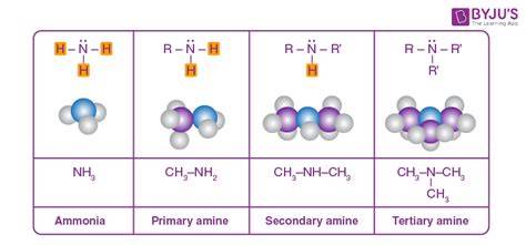 Amines Functional Group