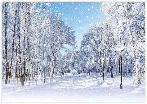 Snowy Forest Backdrop Winter Snow Scene Backdrop Frozen Trees - Etsy