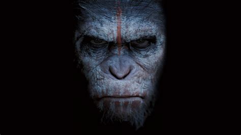 Planet Of The Apes Wallpaper