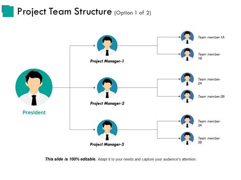 Project Team Structure Ppt Examples Slides | PowerPoint Presentation ...