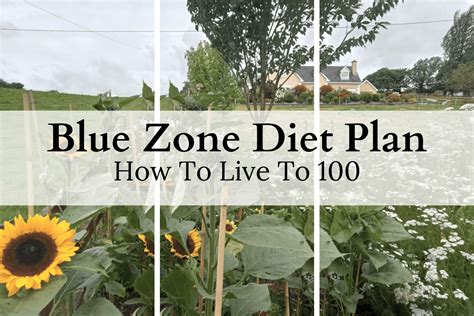 The Blue Zone Diet Plan - What To Eat To Live To 100 — Maria Lucey ...