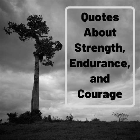 My Favorite Quotes About Strength, Courage, and Not Giving Up - Holidappy