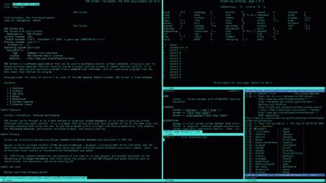 How to Use Linux Screen to Get Multiple Terminals