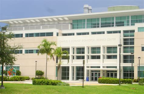 Florida Atlantic University | Research, Boca Raton, Education | Britannica