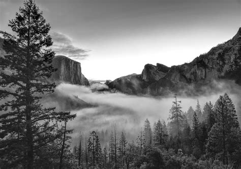 Black and White Nature Wallpaper (60+ images)