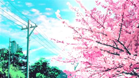 Aesthetic Cherry Tree Anime Background | Images and Photos finder