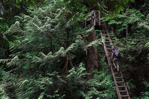 The West Coast Trail: Vancouver Island's Iconic Hike | Switchback Travel