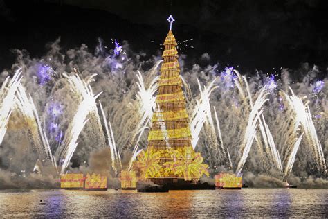 Best 20 Christmas trees around the World