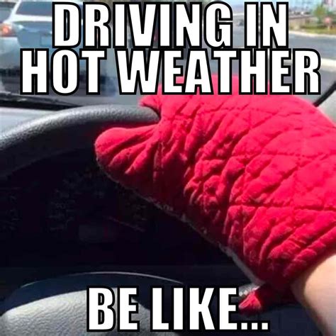 Too Hot To Handle: Laugh Away The Heat With These Hot Weather Memes ...