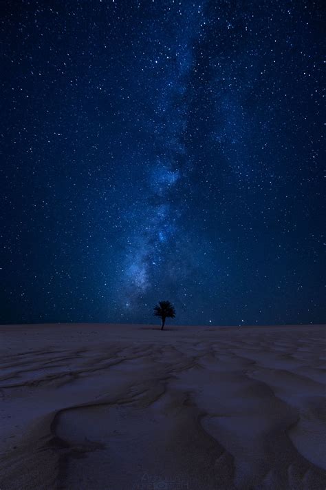 Arabian Desert Night | Night scenery, Night sky photography, Night sky ...