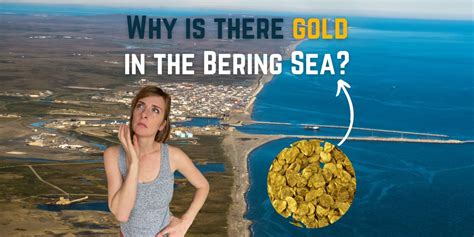 Why is there gold in the Bering Sea?