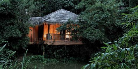 Top 5 Luxury Resorts in Wayanad 2025