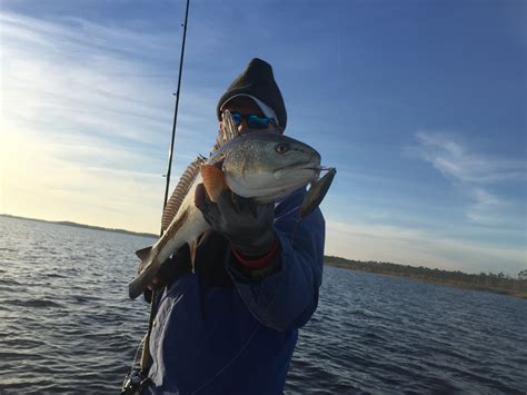 Mobile Bay Alabama Inshore Fishing. Red Fish Speckled Trout Flounder