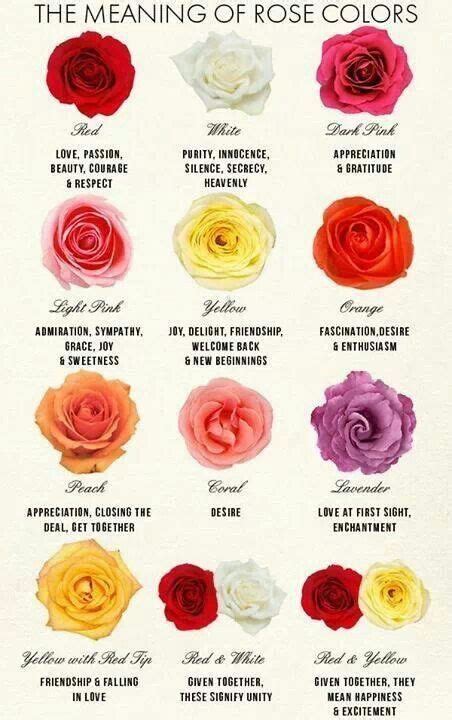 The Meaning of Rose Colors