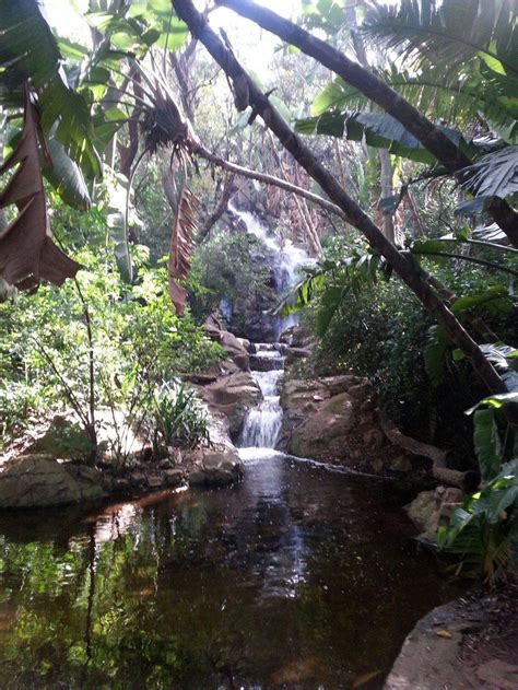 Pretoria National Botanical Garden | South africa travel, National ...