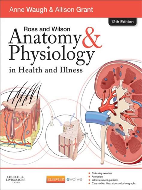 Anatomy/Physiology - East West School of Herbology