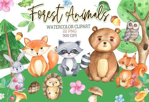 Forest animals clipart Woodland clip art watercolor PNG By VilenaArt ...