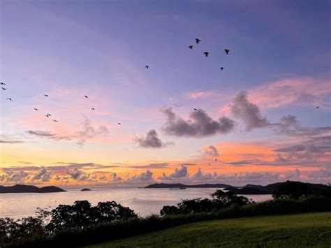 A humble discovery on Thursday Island - JCU Australia