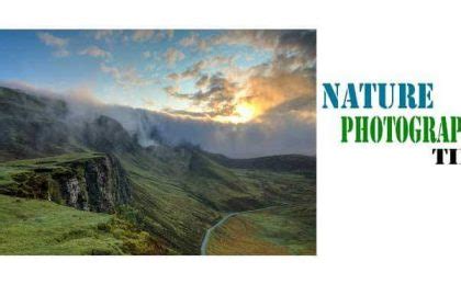 Top 10 Amazing Nature Photography Tips for Photographers