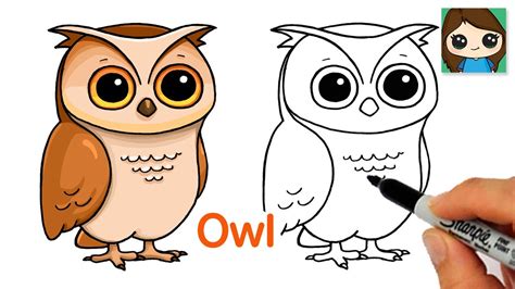 How To Draw A Cute Owl