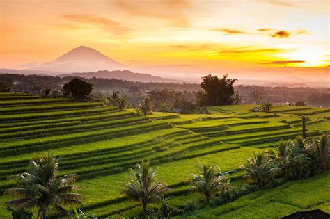 Jatiluwih Rice Terraces in Bali - Cultural Landscape Heritage Site in ...