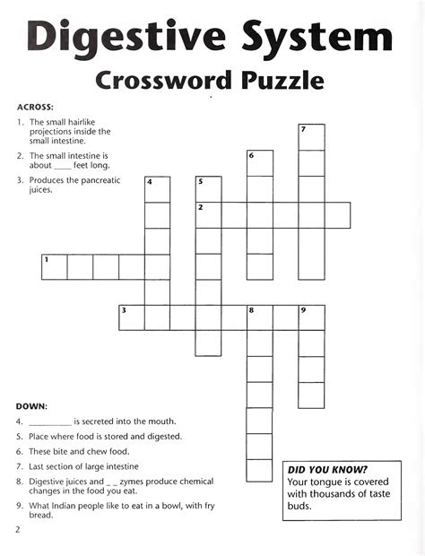 Digestive system Crossword puzzle | Free Printable Puzzle Games