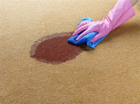 The 9 Best Carpet Stain Removers of 2022