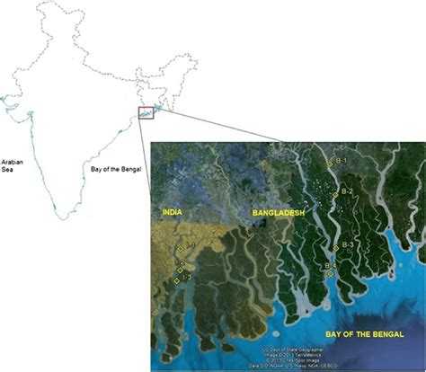 The map of the Sundarban mangrove from India and Bangladesh with ...