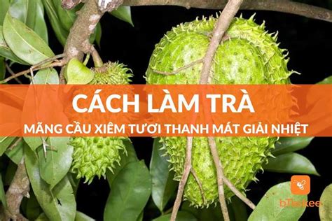 Cách Làm Trà Mãng Cầu Xiêm Tươi Thanh Mát Giải Nhiệt – bTaskee