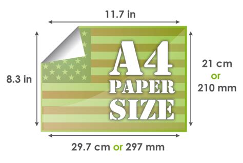 Formato A4 In Cm - Compilare un Curriculum