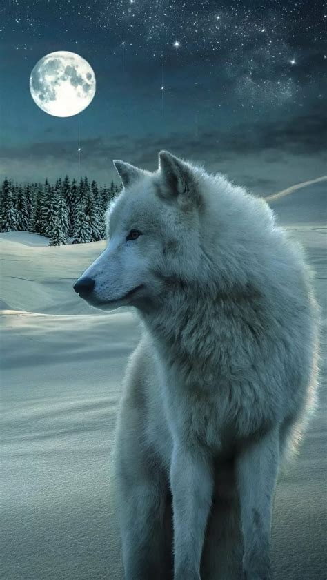 23 Wolf iPhone Wallpapers - Wallpaperboat