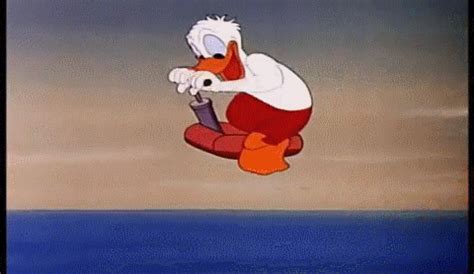 Donald Duck Bee At The Beach GIF - Find & Share on GIPHY