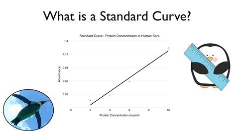 What is a Standard Curve? - YouTube