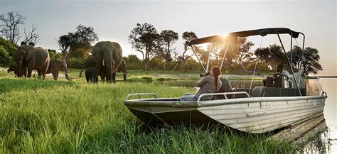 Zambia Safari Tours | Victoria Falls Tours 2024 | 2025