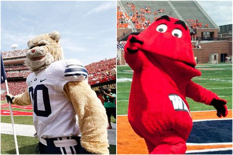 BYU athletics: Results of twitter mascot challenge embroiled in ...