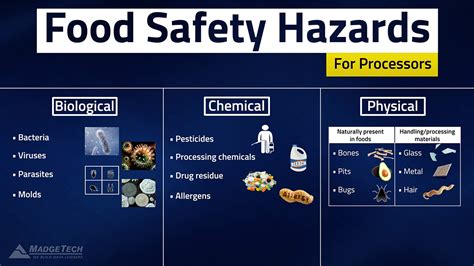 HACCP Food Safety Hazards - YouTube