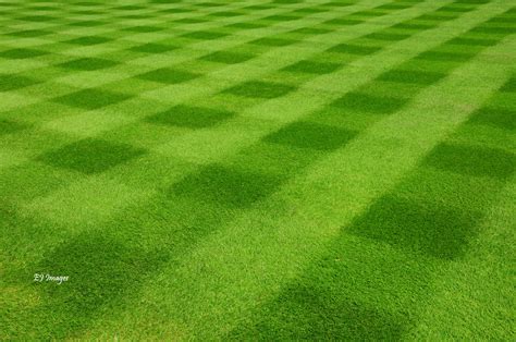 Different Lawn Mowing Patterns: Part I - Lawn Care Tips | Mower ...