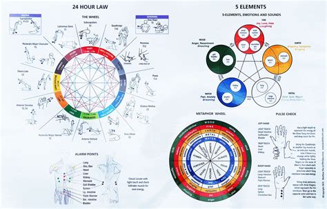 5 Element Emotions Chart — Helena Arguelles | Health chart, Emotion ...