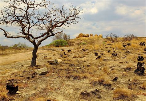 The National Parks Of Zimbabwe - WorldAtlas