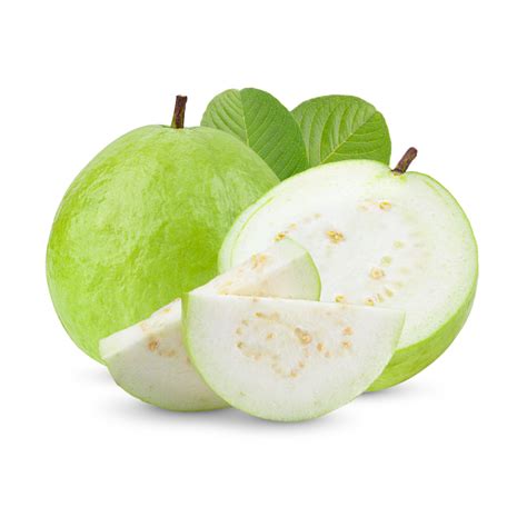 JAMBU LOHANLohan Guava – Selangor Fruit Valley