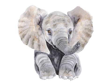 Baby Elephant Watercolor at GetDrawings | Free download