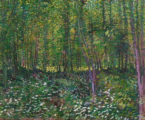 Art Reproductions Trees and Undergrowth, 1887 by Vincent Van Gogh (1853 ...