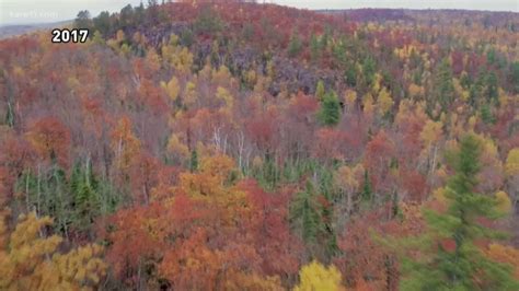 Find the best Minnesota fall colors using this map | kare11.com