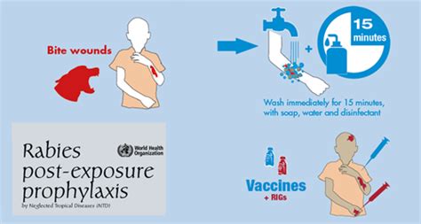 Amendment to anti rabies post exposure therapy (PET) protocol – Sri ...