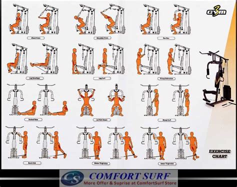 home gym cable machine workout routines - Donella Bird