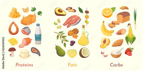 Stockvector Macronutrients vector illustration. Main food groups ...