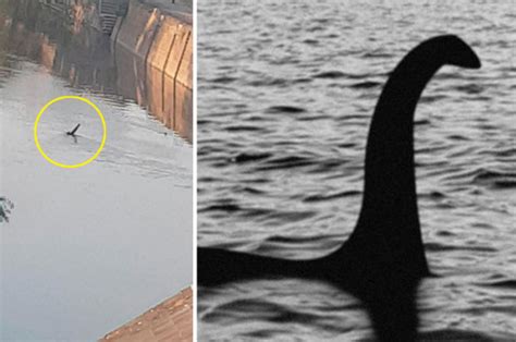 Loch Ness Monster sighting: Video shows creature in Gloucester canal ...